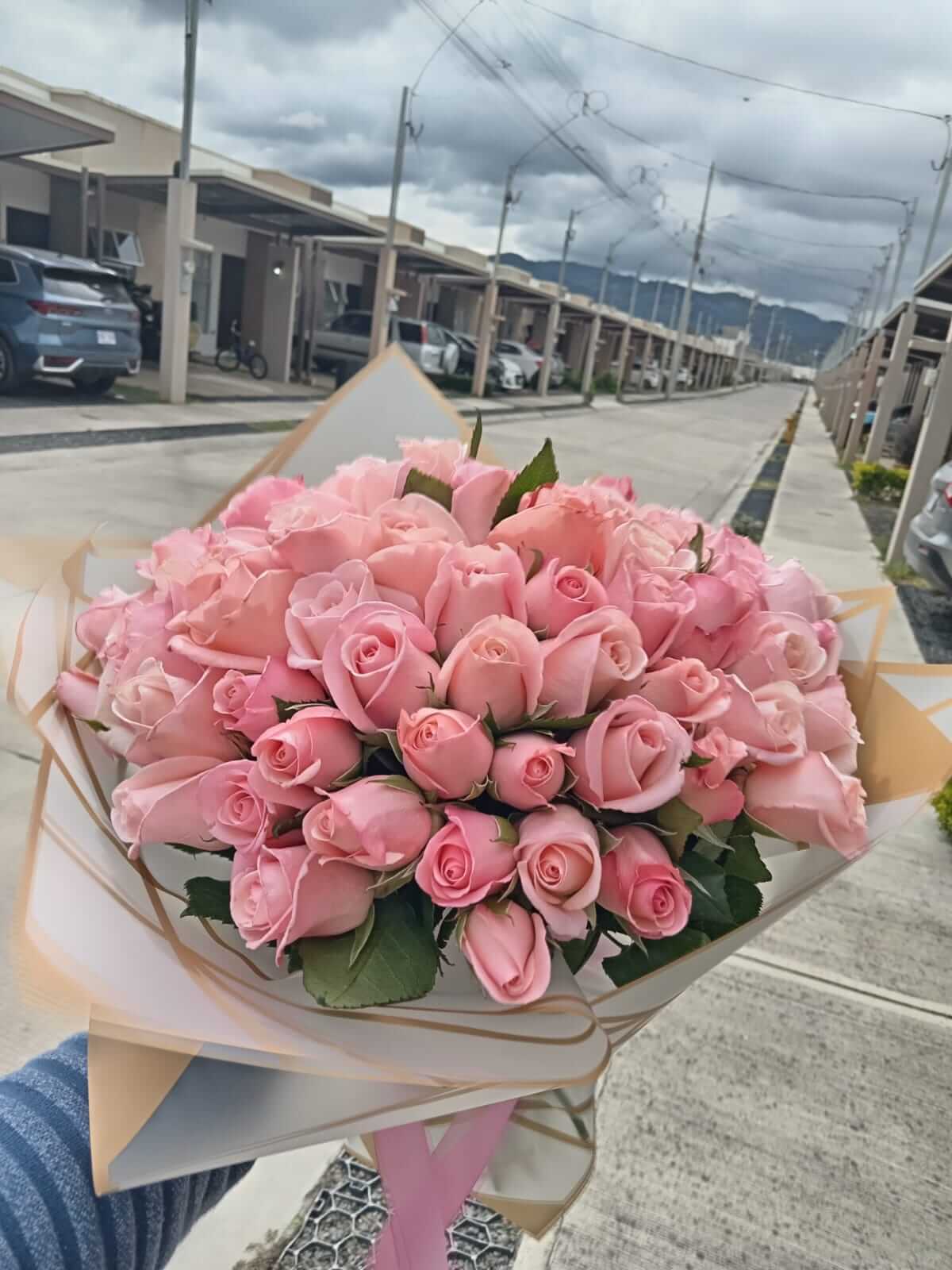 Ramo Buchón 50 Rosas